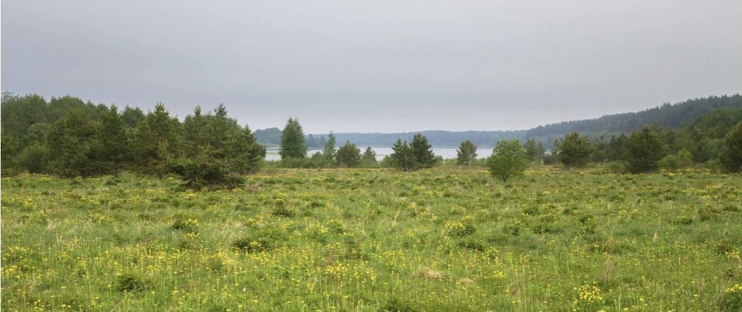 земля г Лермонтов с Острогорка ул Луговая 25 фото 1