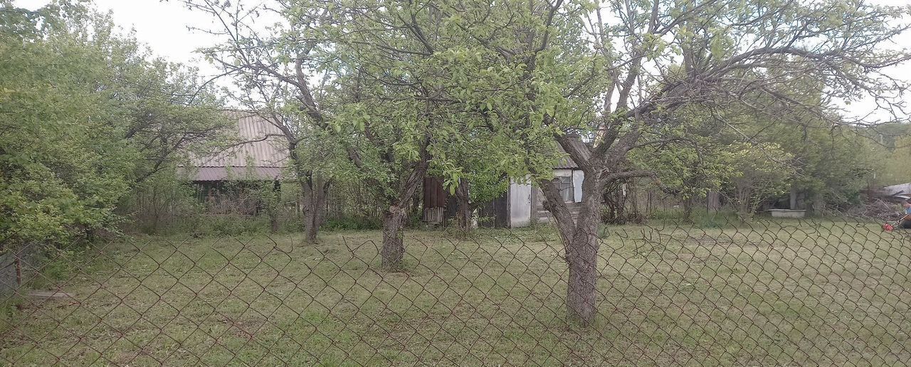 дом г Воронеж р-н Левобережный снт Славянка ул Яблоневая фото 4