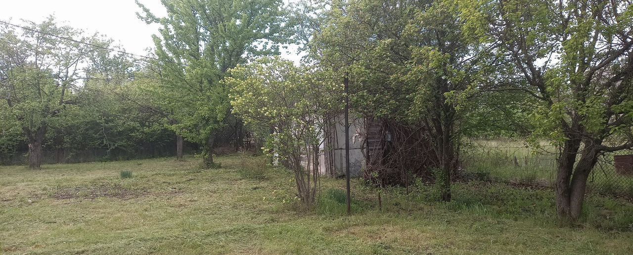 дом г Воронеж р-н Левобережный снт Славянка ул Яблоневая фото 9