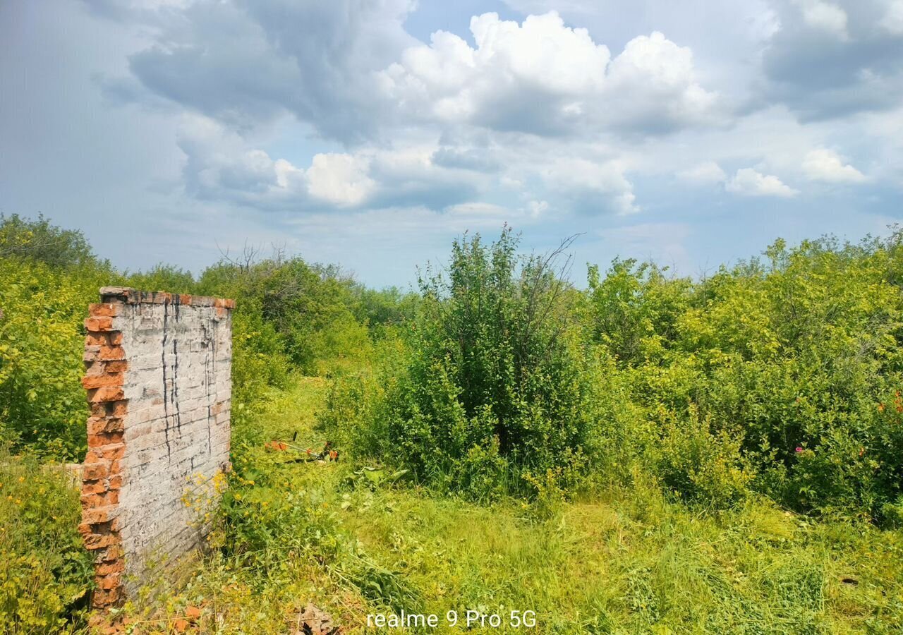 земля р-н Лениногорский г Лениногорск Республика Татарстан Татарстан, муниципальное образование Лениногорск, СНТ Восход-2 фото 2