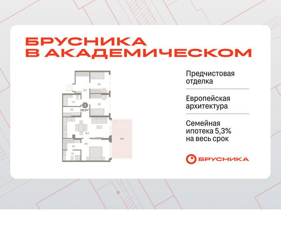 Академический Чкаловская ЖК Брусника в Академическом 19-й квартал фото