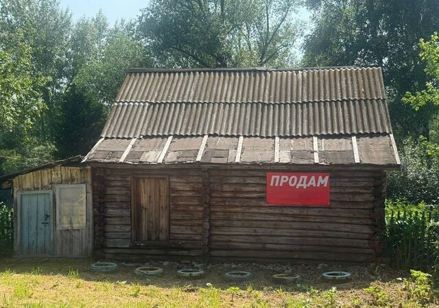 с Колывань ул Алтайская 19 Колыванский сельсовет, Змеиногорск фото