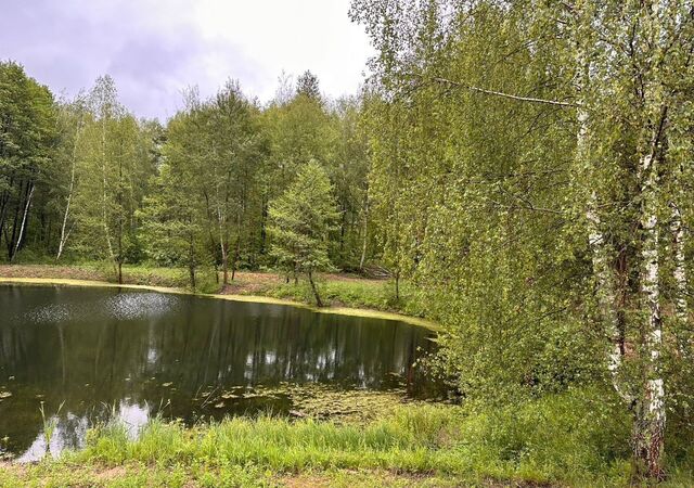 земля с Гжель ул Заречная 37 км, Речицы, Егорьевское шоссе фото