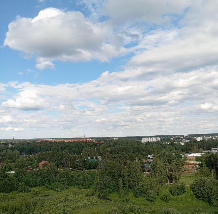 квартира г Сергиев Посад Звездочка ул 1-я Рыбная 88 фото 27