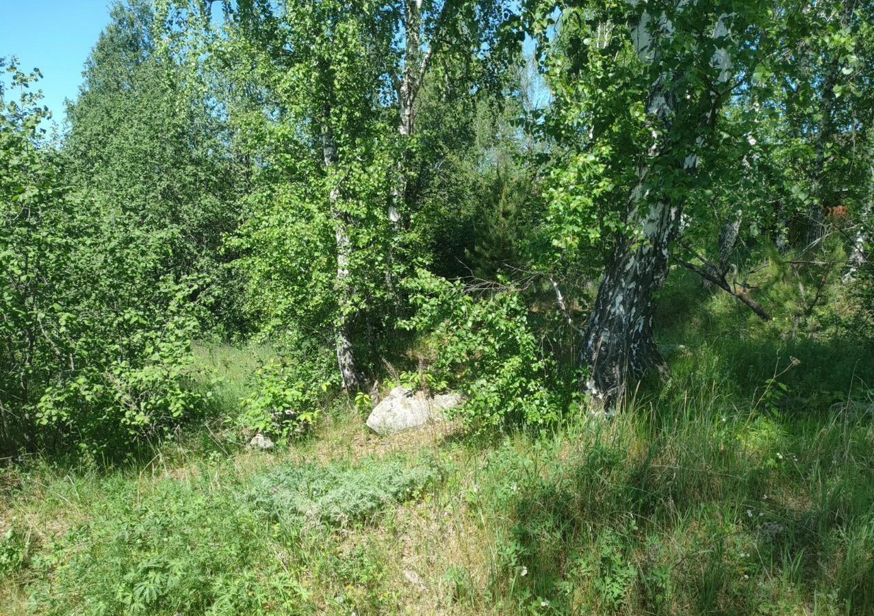 земля г Миасс п Нижний Атлян р-н Атлянский фото 3