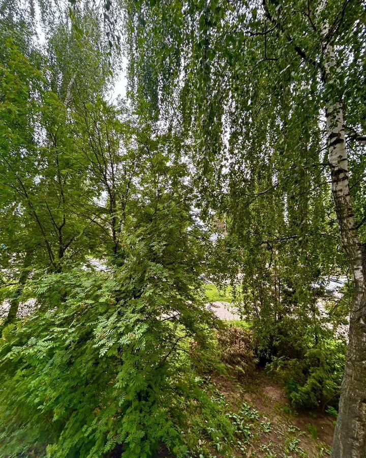 квартира г Коломна ул Зеленая 13 фото 10