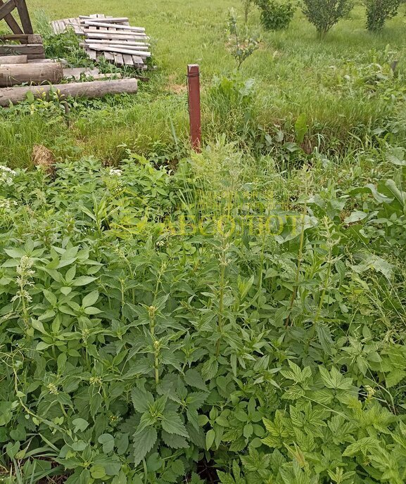 земля г Ревда садово-огородническое товарищество Восток фото 3