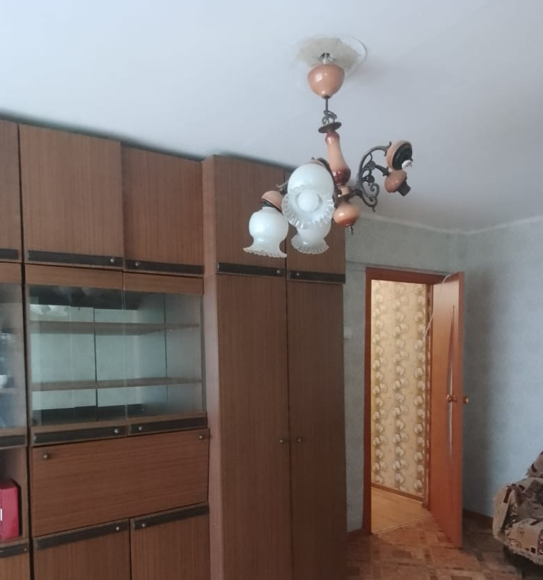 квартира г Донской мкр Северо-Задонск ул Школьная 43а фото 7