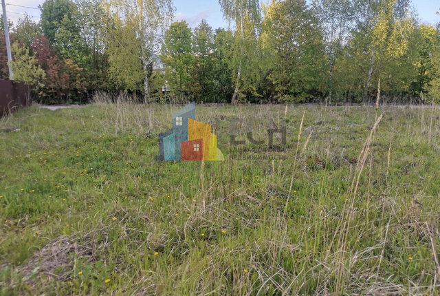 городской округ Тула фото