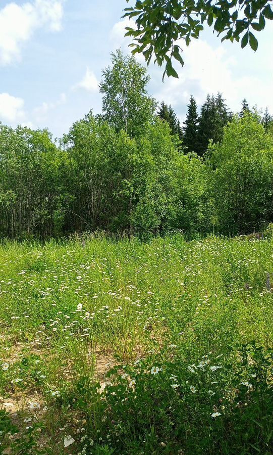 земля г Соликамск фото 12