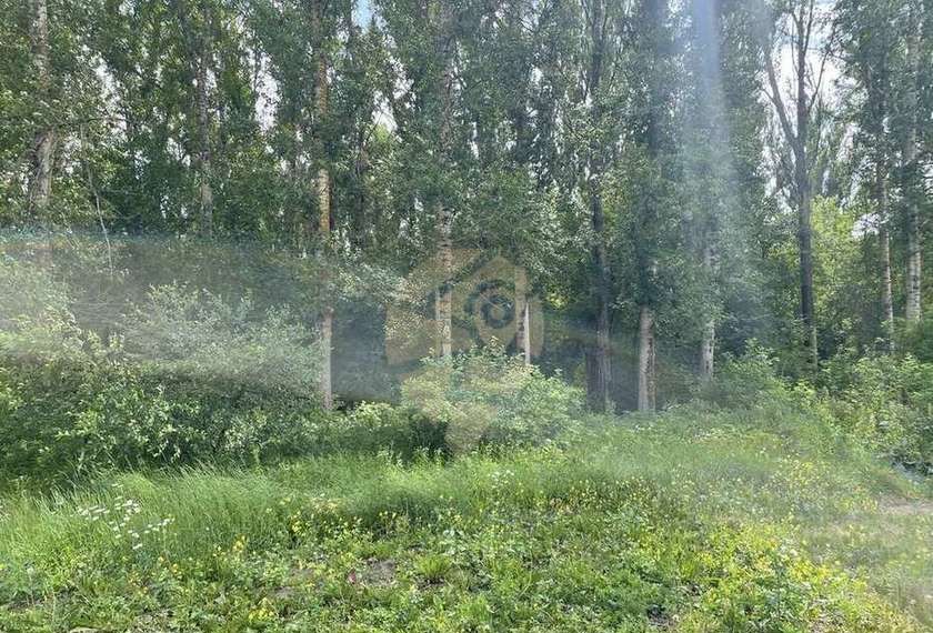 дом р-н Яковлевский г Строитель снт Тополек Старый Оскол фото 28