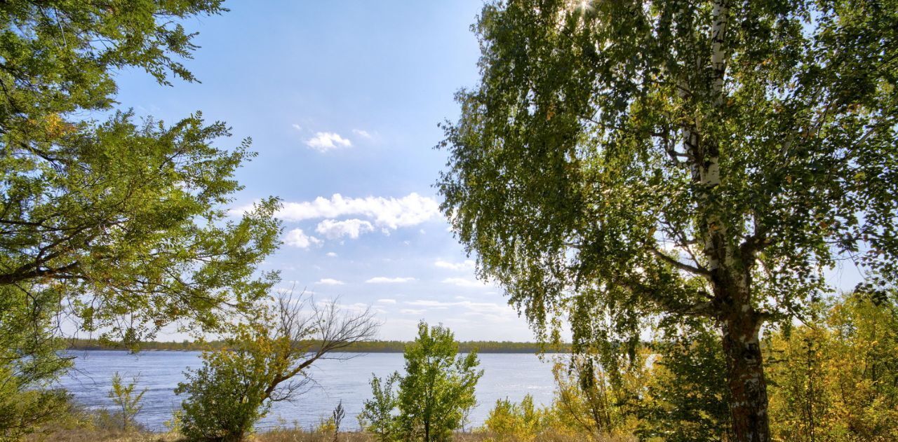 земля г Вольск фото 6