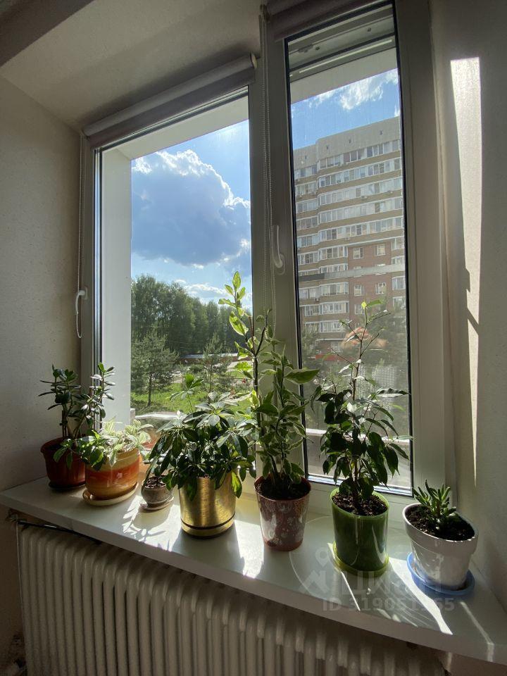 квартира г Пущино д мкр 21 Серпухов городской округ фото 10