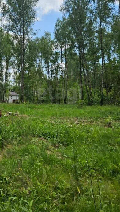 земля г Домодедово д Минаево КП Южный Парк 483 фото 6
