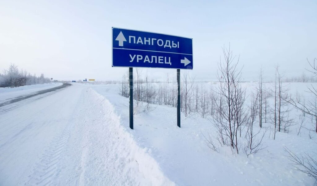 земля г Новый Уренгой ул Рахманинова фото 8