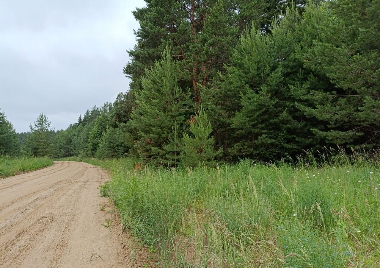 земля г Добрянка п Полазна д Заборье фото 4