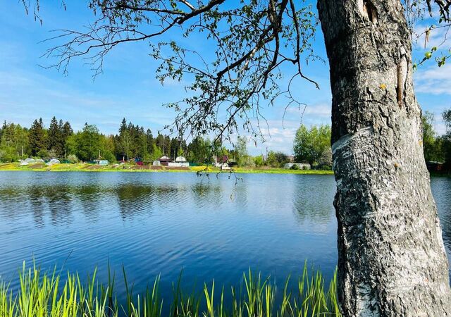 38 км, 113, КП Калистово, Ярославское шоссе фото