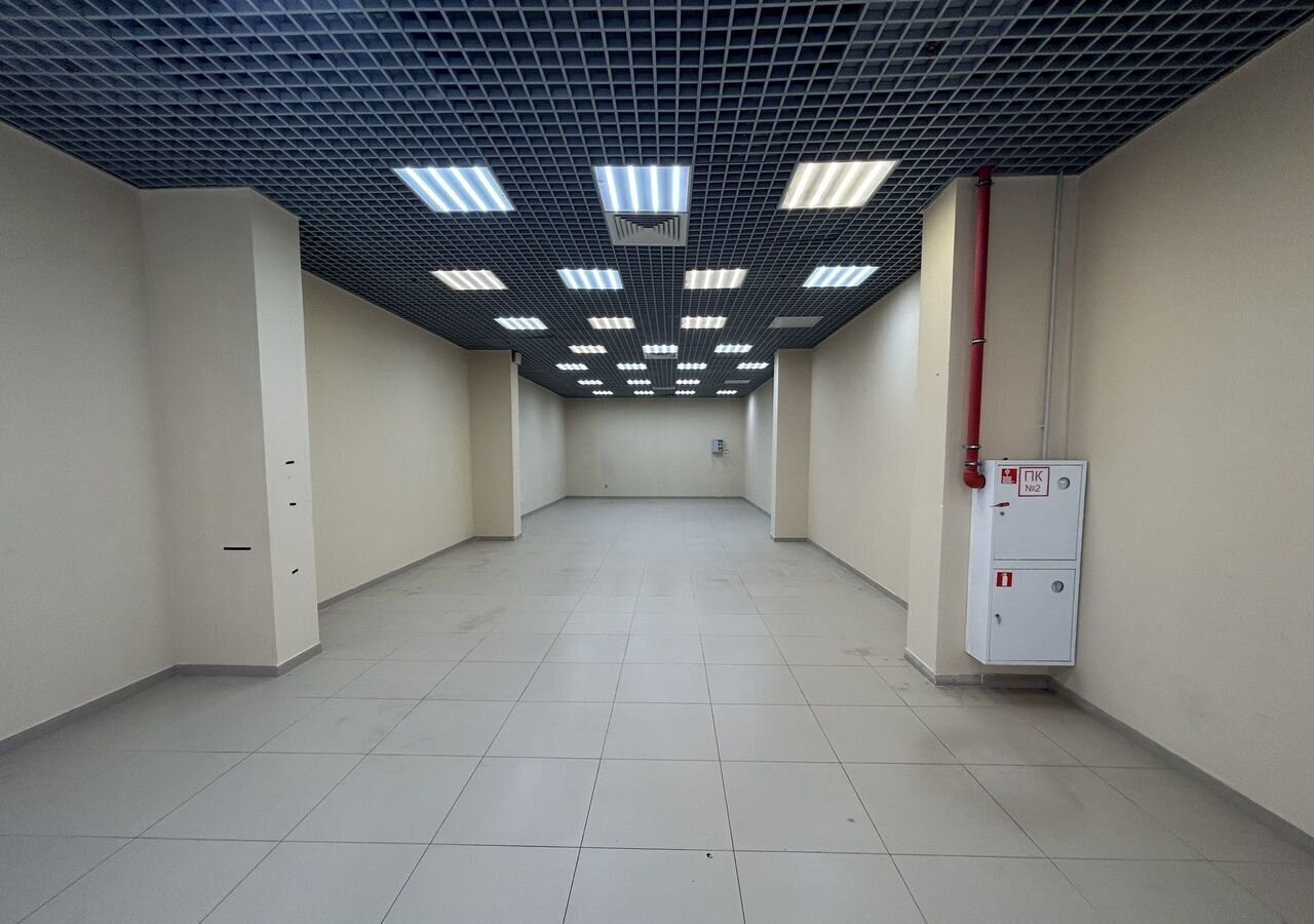 торговое помещение г Казань метро Горки р-н Советский ул Даурская 44д фото 6