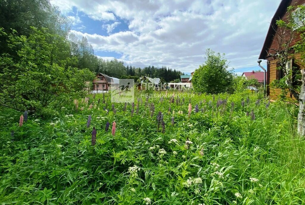 дом городской округ Богородский г Ногинск снт Лотос-2 43 фото 15
