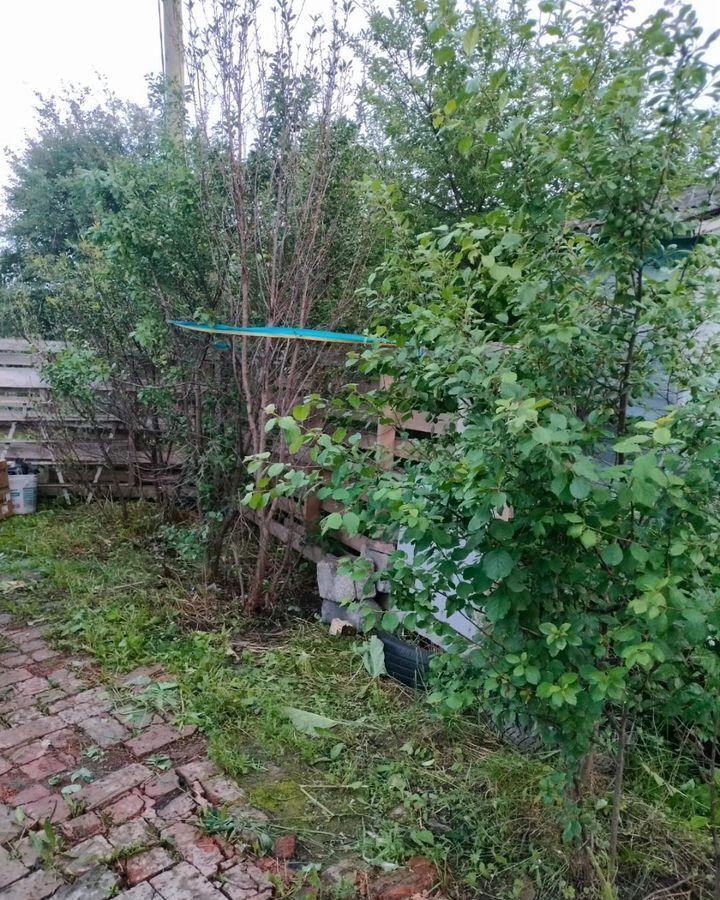 земля г Березовский п Монетный сад тер коллективныйN13 Кедр фото 13