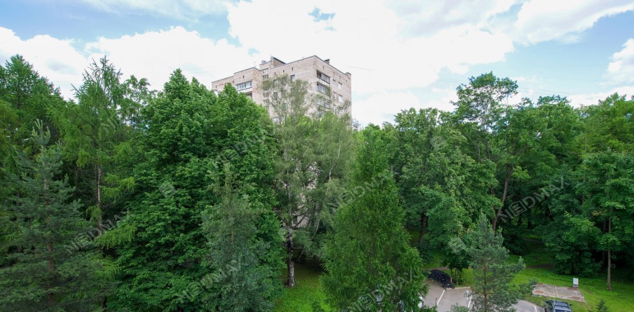 квартира г Санкт-Петербург метро Площадь Мужества пр-кт Пархоменко 39 фото 24