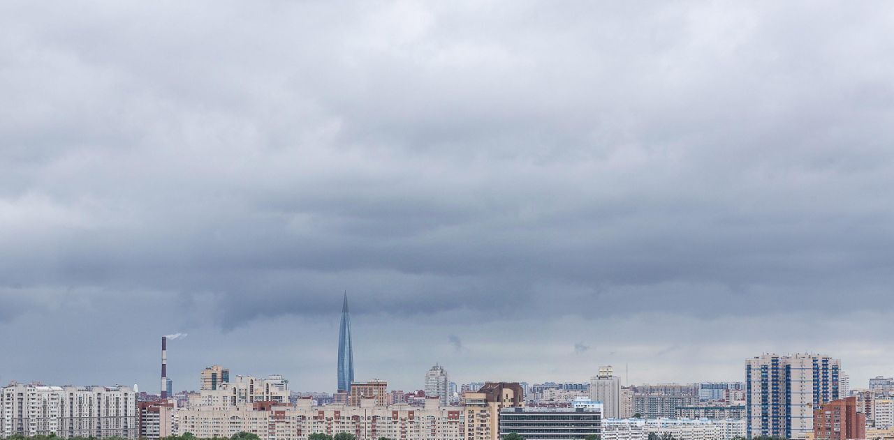 квартира г Санкт-Петербург метро Удельная пр-кт Ярославский 14 округ Светлановское фото 37