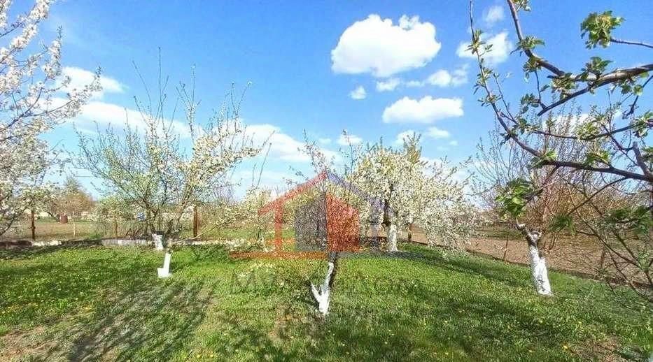 дом г Старый Оскол ул Пушкина 25 фото 16