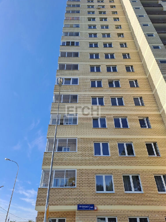 квартира городской округ Богородский г Старая Купавна ул Трудовая 19а Новокосино фото 1
