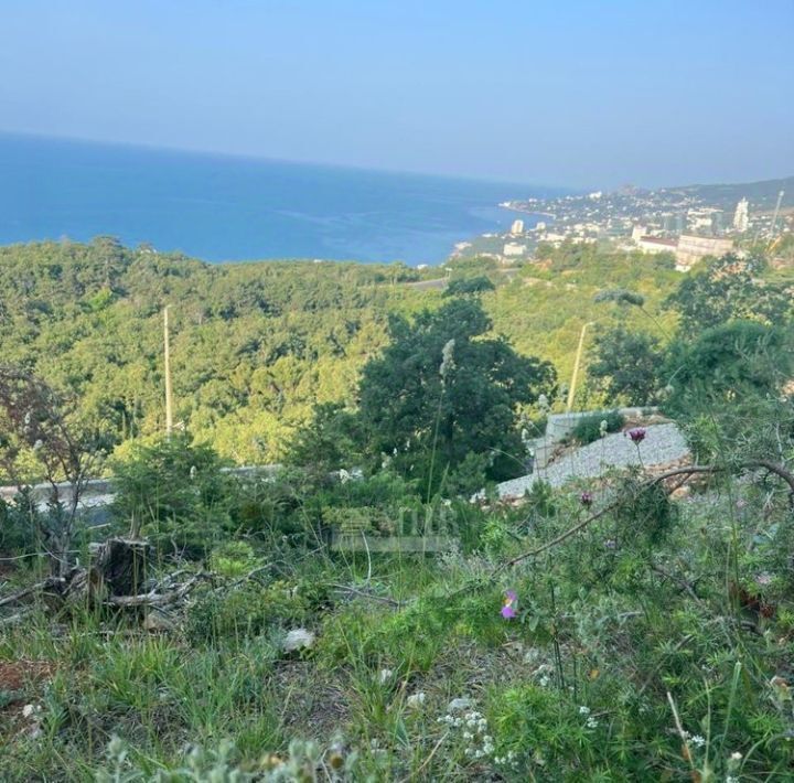земля г Ялта пгт Гаспра фото 2