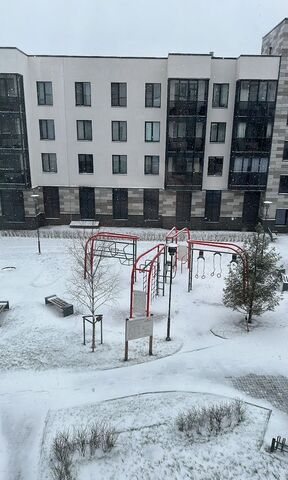 пр-кт Ветеранов 196 округ Сосновая Поляна фото