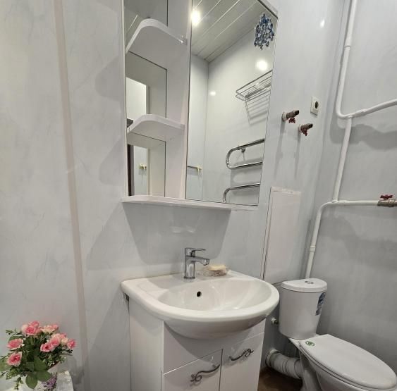 квартира г Омск р-н Кировский ул Ватутина 9 фото 17