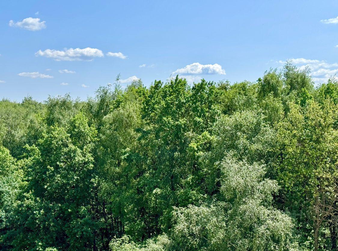 квартира г Москва пр-кт Ленинский 135/3 Московская область фото 4
