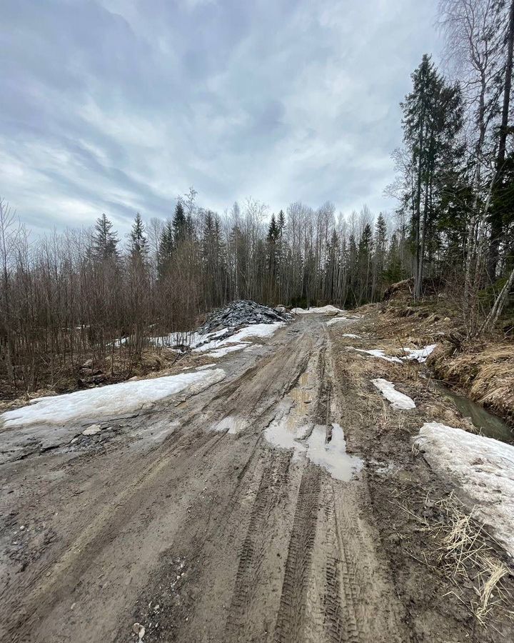 земля г Петрозаводск р-н Древлянка ул Габозерская Древлянка фото 3