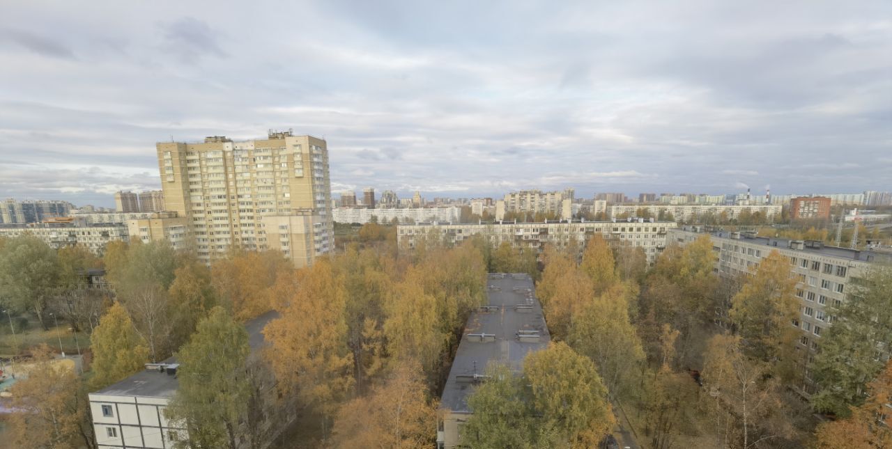 квартира г Санкт-Петербург метро Академическая ул Софьи Ковалевской 16к/5 округ Академическое фото 33