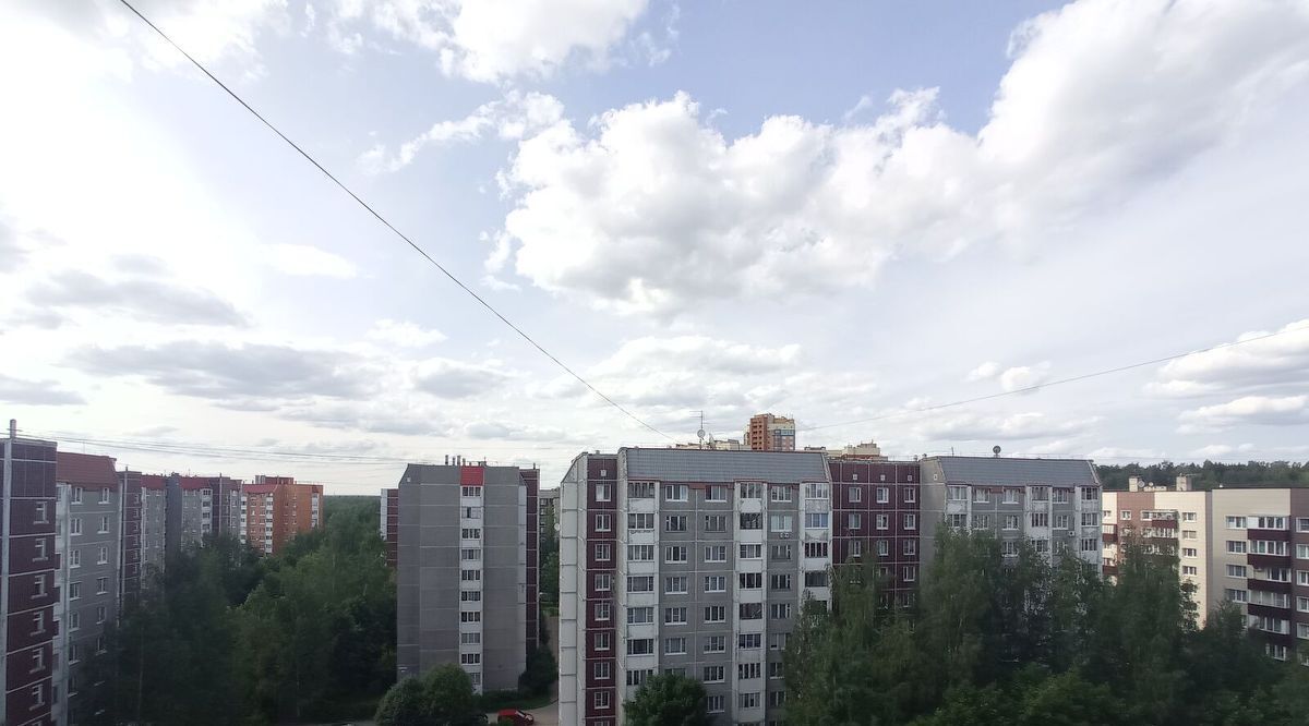 квартира р-н Всеволожский г Всеволожск ул Ленинградская 36 Проспект Большевиков фото 14