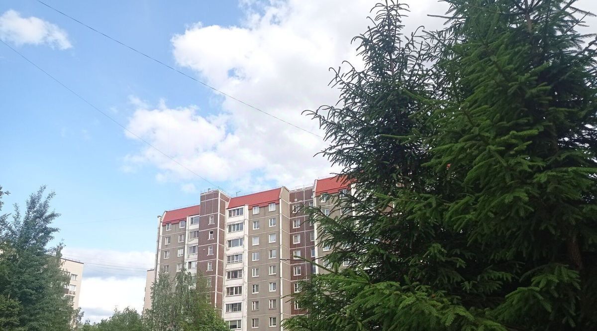 квартира р-н Всеволожский г Всеволожск ул Ленинградская 36 Проспект Большевиков фото 17