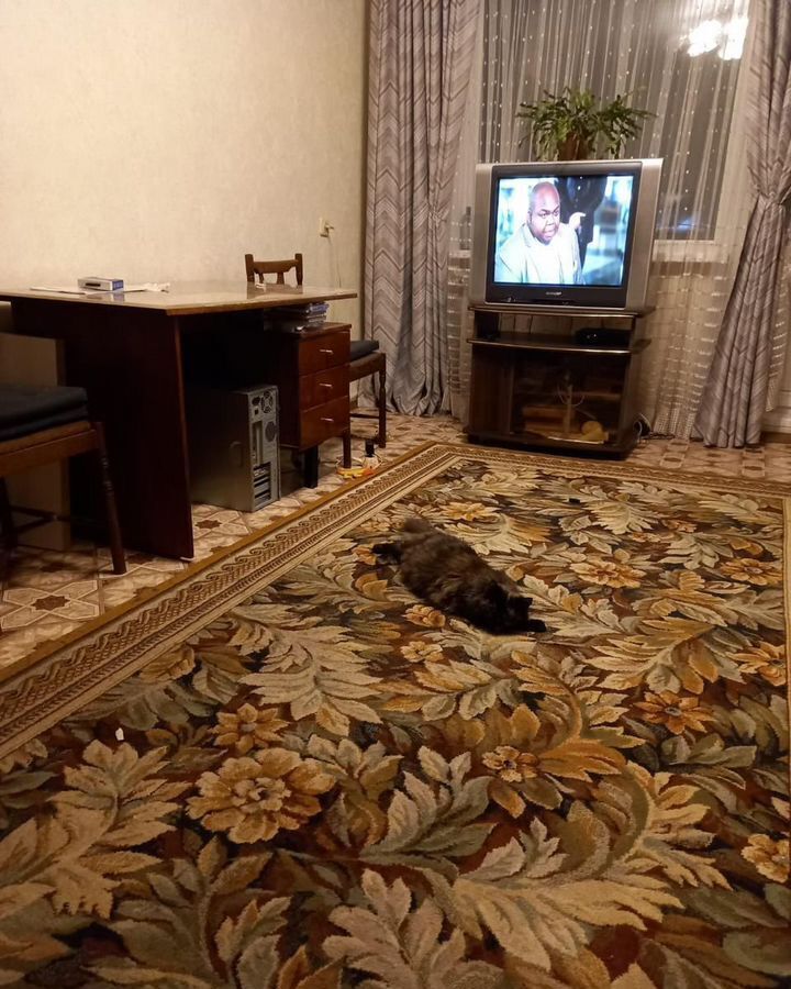 квартира г Дзержинск ул Гайдара 53а фото 6