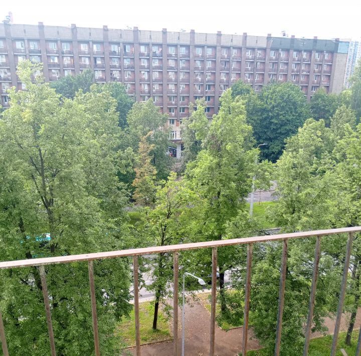 квартира г Санкт-Петербург метро Академическая пр-кт Гражданский 31к/1 округ Гражданка фото 19