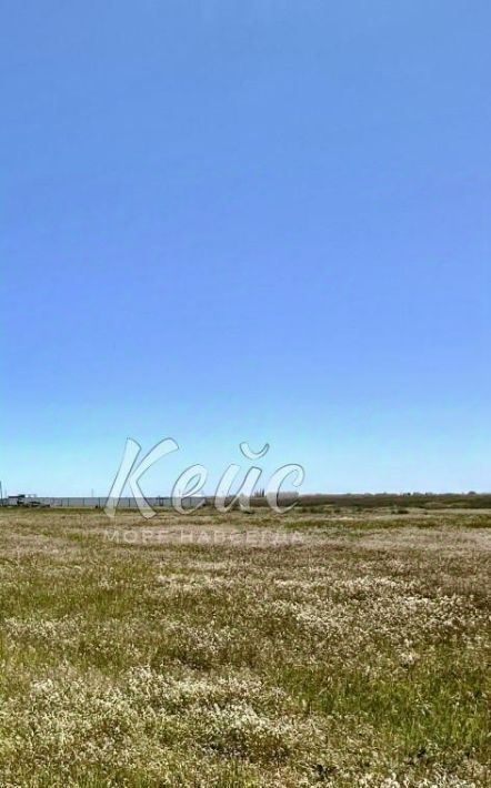 земля г Феодосия ул Каштановая Береговой сельский совет фото 3