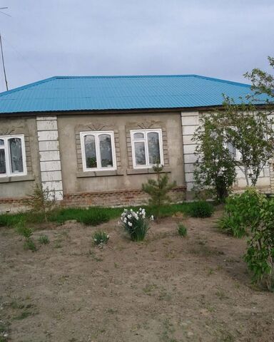 с Елионка ул Пионерская Стародуб фото