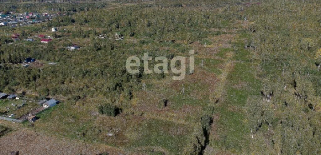 земля г Тюмень снт Светлое фото 2
