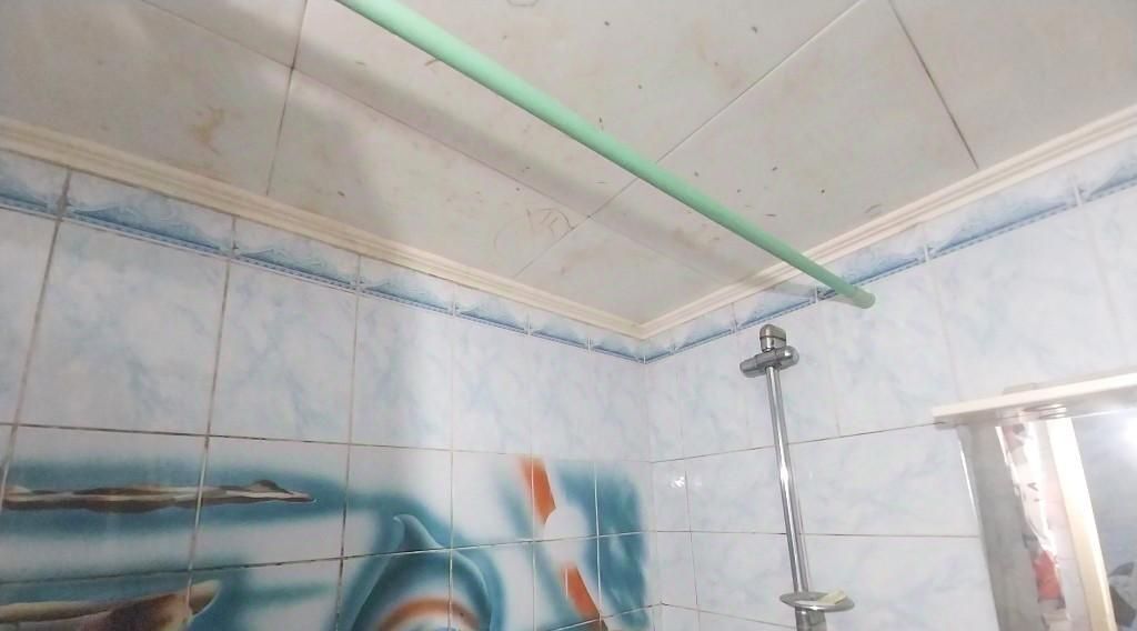 квартира г Екатеринбург р-н Кировский Машиностроителей ул Боровая 21 фото 10
