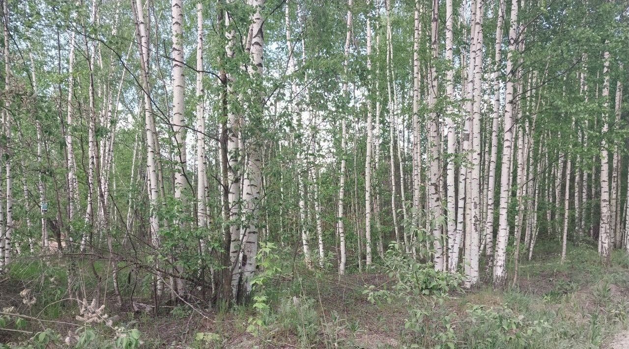 земля г Пермь р-н Кировский ул Промучасток Кировский район фото 9