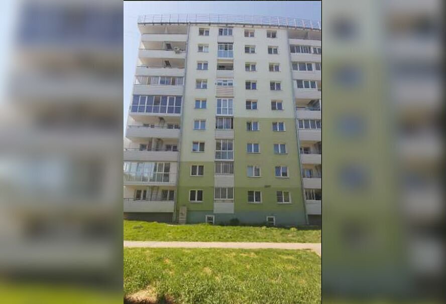 дом г Славгород с Знаменка ул Восточная 7 Благовещенка фото 1