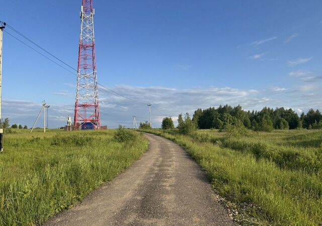 д Дор 118 км, Новорижское шоссе фото