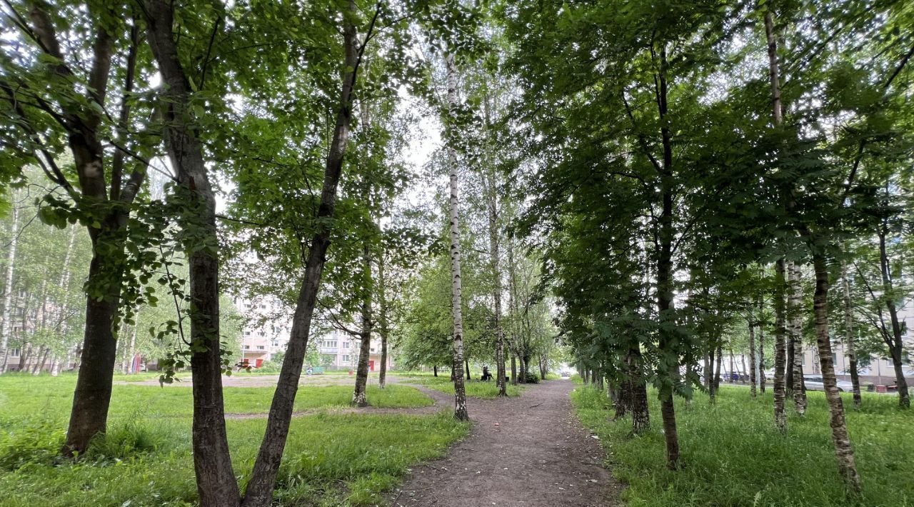 квартира г Санкт-Петербург метро Проспект Просвещения пр-кт Суздальский 9 округ Шувалово-Озерки фото 27