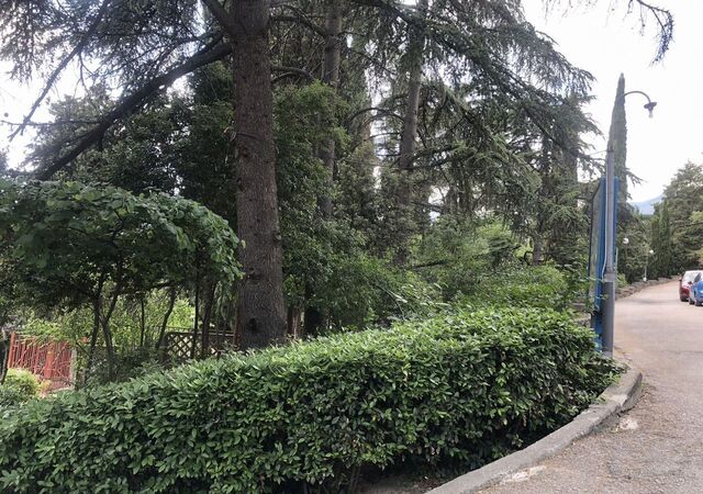 земля парк имени Мордвинова фото