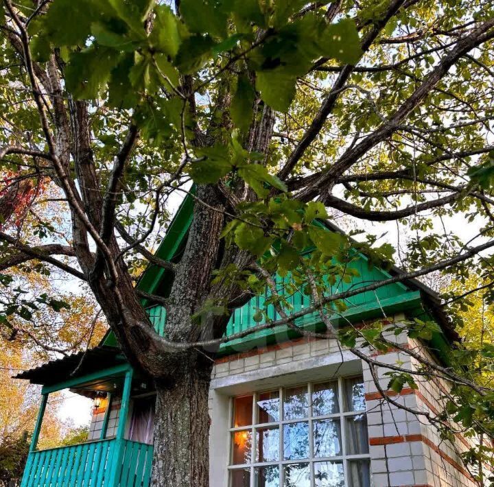 дом г Хабаровск р-н Краснофлотский снт Светлый ключ фото 5