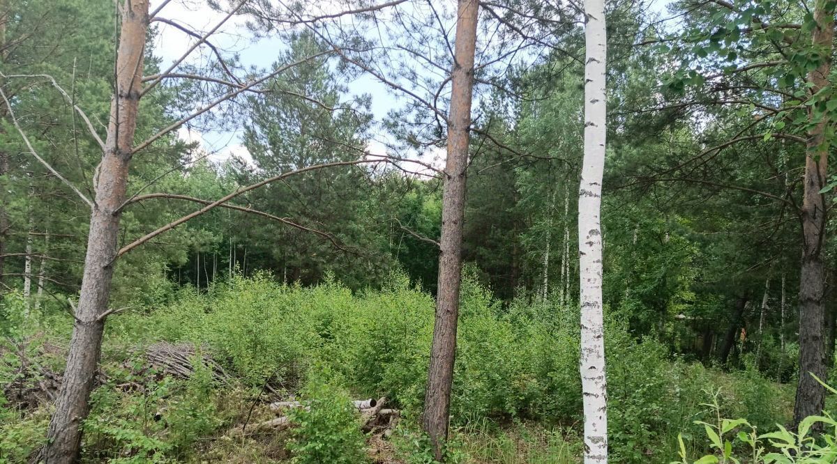 земля г Верхняя Пышма снт тер.Васелекош 4 фото 5