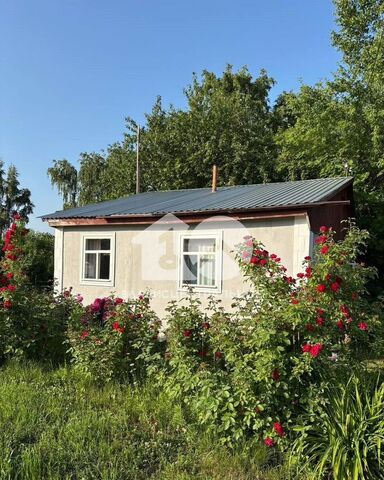 снт Строитель фото